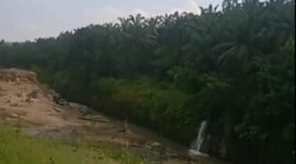 Oplus_0