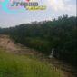 Oplus_0
