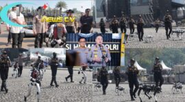 Oplus_0