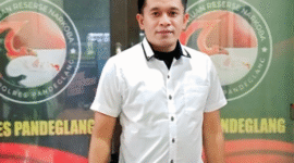 FOTO : DIREKTUR / CEO PERUSAHAAN 
MUHAMMAD LUTFI, SH