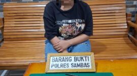 Foto : Satresnarkoba Polres Sambas menangkap Seorang Mahasiswi yang Diduga Terlibat dalam Penyalahgunaan Narkotika