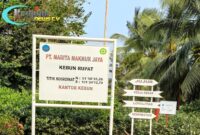 Gambar : PLAT KANTOR PT. MARITA MAKMUR JAYA KEBUN RUPAT