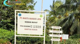 Gambar : PLAT KANTOR PT. MARITA MAKMUR JAYA KEBUN RUPAT