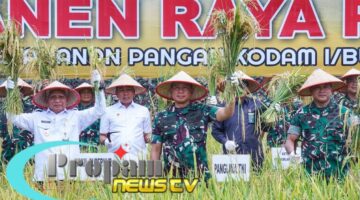 Foto : Jenderal TNI Agus Subiyanto turun langsung melakukan panen raya padi di lahan ketahanan pangan Kodam I/BB 