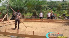 Foto : Polsek Sepauk membongkar tempat yang diduga dijadikan arena judi sabung ayam