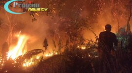 Foto : Kebakaran hutan dan lahan (karhutla) yang terjadi di kawasan Parit Haji Muksin, Desa Sungai Raya 