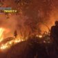 Foto : Kebakaran hutan dan lahan (karhutla) yang terjadi di kawasan Parit Haji Muksin, Desa Sungai Raya 