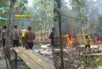 Foto : TNI dan Polri Bersama Tokoh Masyarakat Musnahkan Arena yang diduga menjadi tempat Sabung Ayam di Desa Belimbing