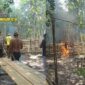 Foto : TNI dan Polri Bersama Tokoh Masyarakat Musnahkan Arena yang diduga menjadi tempat Sabung Ayam di Desa Belimbing