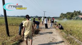 Foto : Kepala Desa Pagelaran bersama masyarakat desa melaksanakan kegiatan gotong royong membersihkan pinggiran jalan poros desa