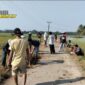 Foto : Kepala Desa Pagelaran bersama masyarakat desa melaksanakan kegiatan gotong royong membersihkan pinggiran jalan poros desa