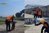 Foto : Latihan parsial Inasar di Balai Diklat Basarnas, Jonggol, Jawa Barat