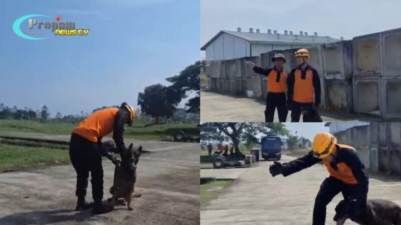 Foto : Latihan parsial Inasar di Balai Diklat Basarnas, Jonggol, Jawa Barat