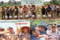 Foto : Polres Melawi gelar Panen Raya Jagung Serentak Kuartal III Tahun 2025 di lahan jagung kelompok tani 