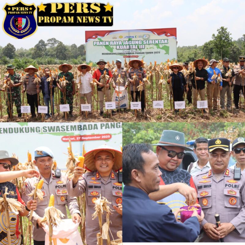 Foto : Polres Melawi gelar Panen Raya Jagung Serentak Kuartal III Tahun 2025 di lahan jagung kelompok tani 