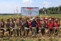 Foto : Gerakan Panen Raya Jagung Serentak Polri Tahun 2025