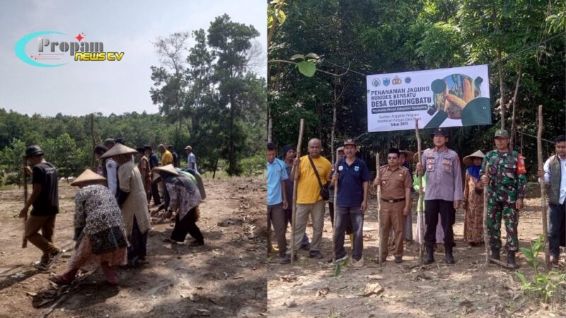 Foto : BUMDes Gunungbatu, Kecamatan Munjul, Kabupaten Pandeglang, melaksanakan penanaman jagung
