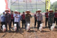 Foto : Kegiatan penanaman jagung serentak kuartal IV tahun 2025 yang dilaksanakan di Desa Cabi, Kecamatan Simpang Empat, Kabupaten Banjar