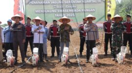 Foto : Kegiatan penanaman jagung serentak kuartal IV tahun 2025 yang dilaksanakan di Desa Cabi, Kecamatan Simpang Empat, Kabupaten Banjar