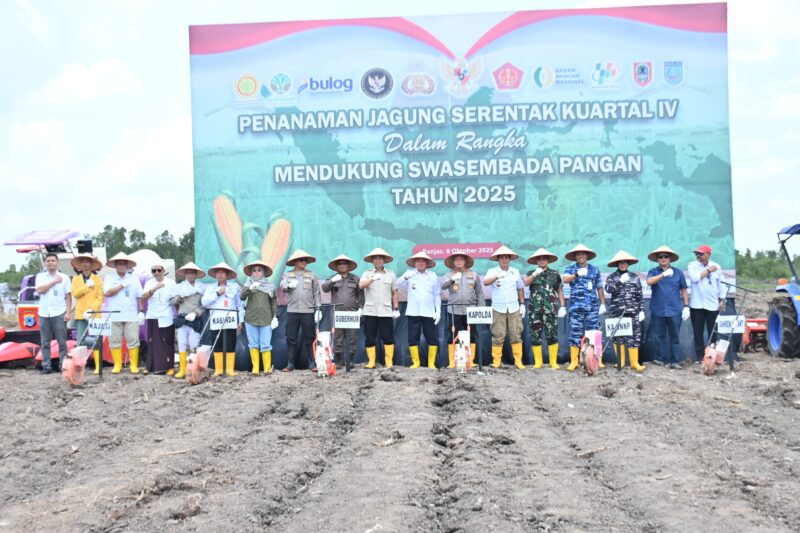 Foto : Program ketahanan pangan dengan menanam jagung di lahan rawa seluas 16 hektar