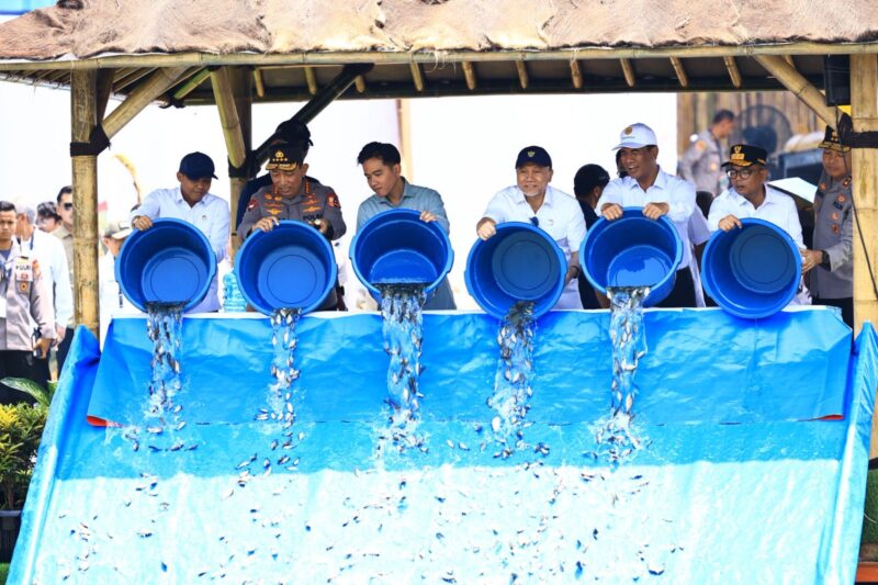 Foto : Wakil Presiden Republik Indonesia Gibran Rakabuming Raka menebar 80.000 ekor bibit ikan nila di Kampung Cibangkok dan Kampung Cibaregbeg Desa Bantar Panjang, Kecamatan Tigaraksa