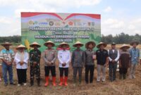 Foto : Kegiatan Penanaman Jagung Serentak Kuartal IV Tahun 2025