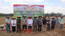 Foto : Kegiatan Penanaman Jagung Serentak Kuartal IV Tahun 2025