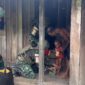 Foto : Satgas Pamtas RI-PNG Yonif 521/DY Pos Benawa melaksanakan kegiatan Binter di Kampung Benawa, Distrik Benawa, Kabupaten Yalimo, Papua Pegunungan