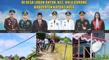Foto : Kegiatan persiapan panen padi Indeks Pertanaman (IP) 300