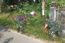 Foto : Kegiatan karya bakti pembersihan rumput liar di sepanjang Jalan Petani, Kecamatan Singkawang Selatan