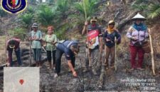 Foto : Personil Polsubsektor Jelimpo Polsek Ngabang lakukan penanam jagung jenis Syngenta Naga di lahan milik Bumdes di Desa Temahar