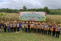 Foto : Polres Balangan melaksanakan kegiatan Panen Raya Jagung Serentak Polda Kalimantan Selatan Tahun 2025, yang berlangsung di Desa Mauya Kecamatan Halong