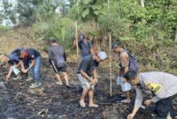 Foto : Penanaman jagung seluas 1 hektare di Dusun Sehe Embuluh Desa Sehe Lusur, Kecamatan Kuala Behe, Kabupaten Landak