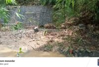 Foto : Proyek pembangunan yang diduga kuat milik Dinas Pekerjaan Umum dan Penataan Ruang (PUPR) di Kabupaten Garut