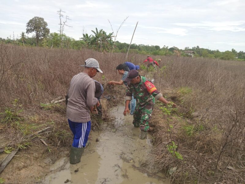 Foto : Kegiatan gotong royong pembersihan sungai di Desa Palajau, Kecamatan Pandawan, Kabupaten Hulu Sungai Tengah