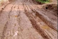 Foto : Akses jalan keluar masuk kampung Pamatang rusak