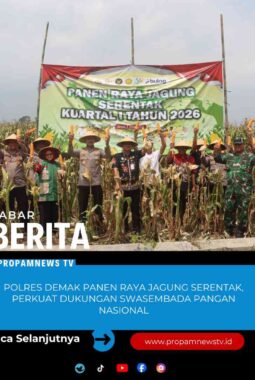berita-rekomendasi-foto