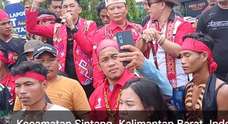 foto slider headline